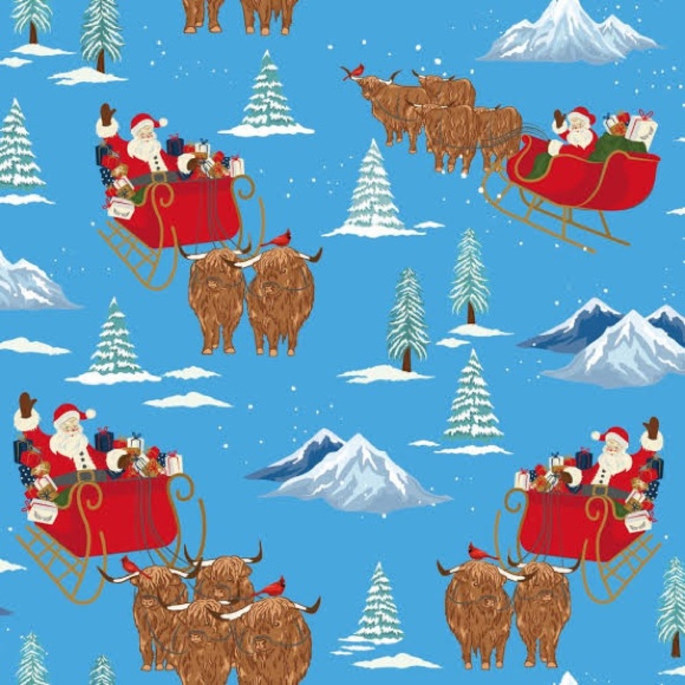 LIKE NEW Free Birdees ‘Santa & Highland Cattle Sleighs’ Coverall — 6-12 Months